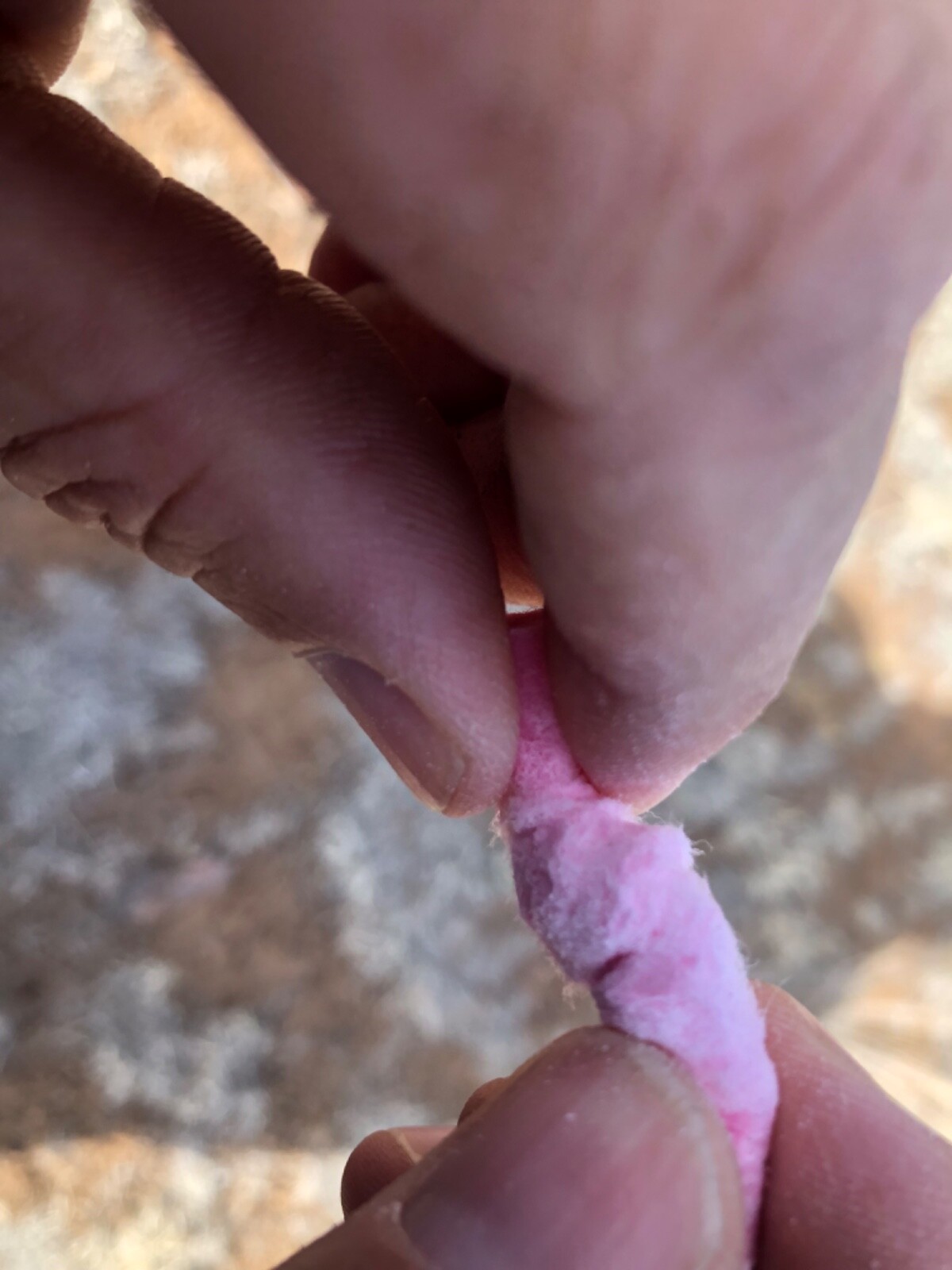 Southwest Survival Fire Starting Plugs (50) - Bushcraft, Camping, Bugout Bag