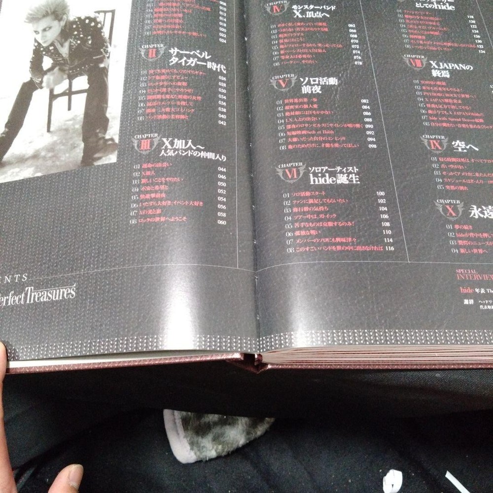 hide Perfect Treasures