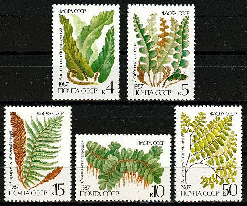 Russia USSR 1987, Sc# 5572-5576 MNH, flowering ferns, complete series