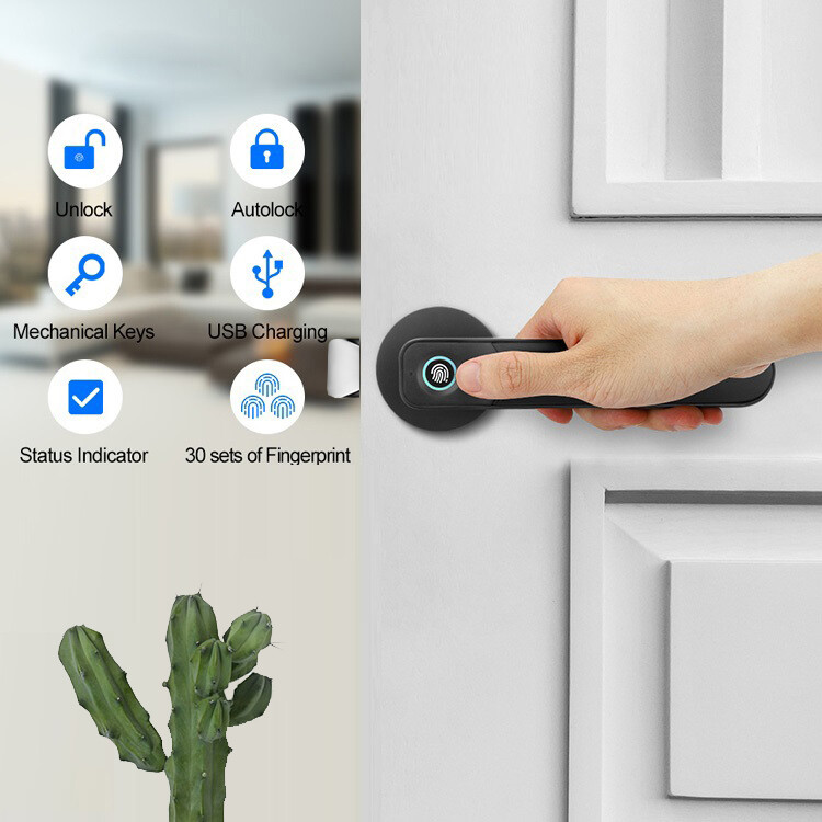 Smart Handle Door Lock Fingerprint