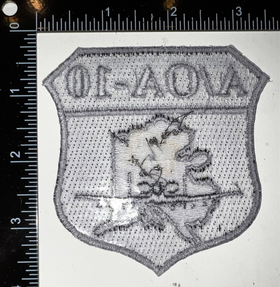 USAF 355th Fighter Squadron Fighting Falcons Alaska A/OA-10 Patch