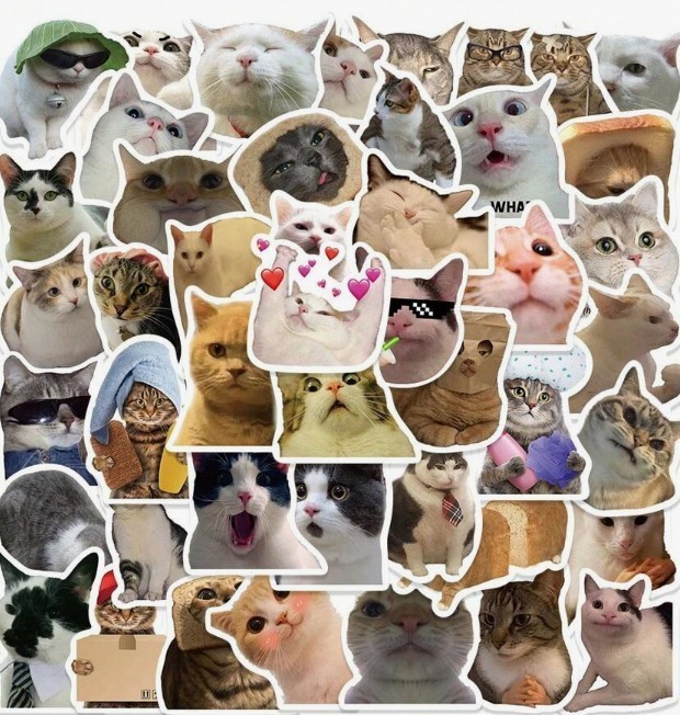 50PCS Funny Cat Stickers Pack Cute Waterproof Vinyl Decals for Laptop Water Bott
