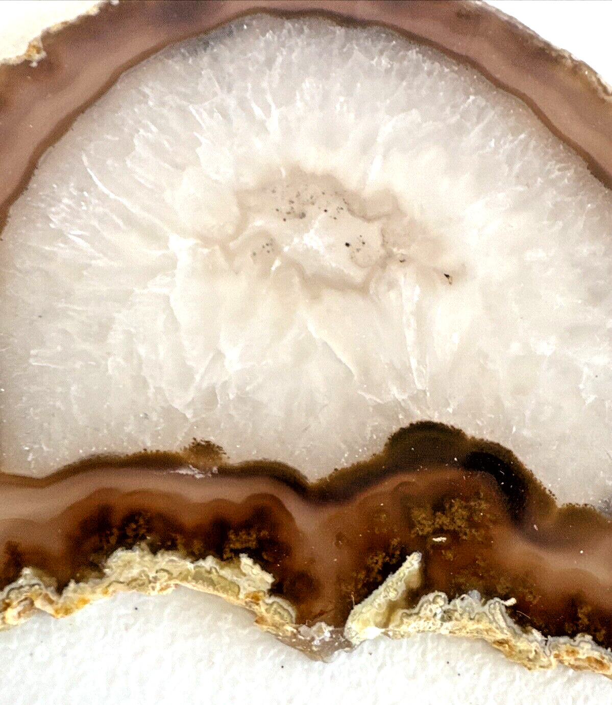 Beautiful Earth Tone Geode Slice Polished Natural Geode Mineral Rock Stone 5” W