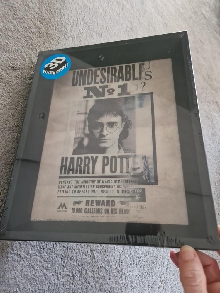 Harry Potter 3D Poster Print