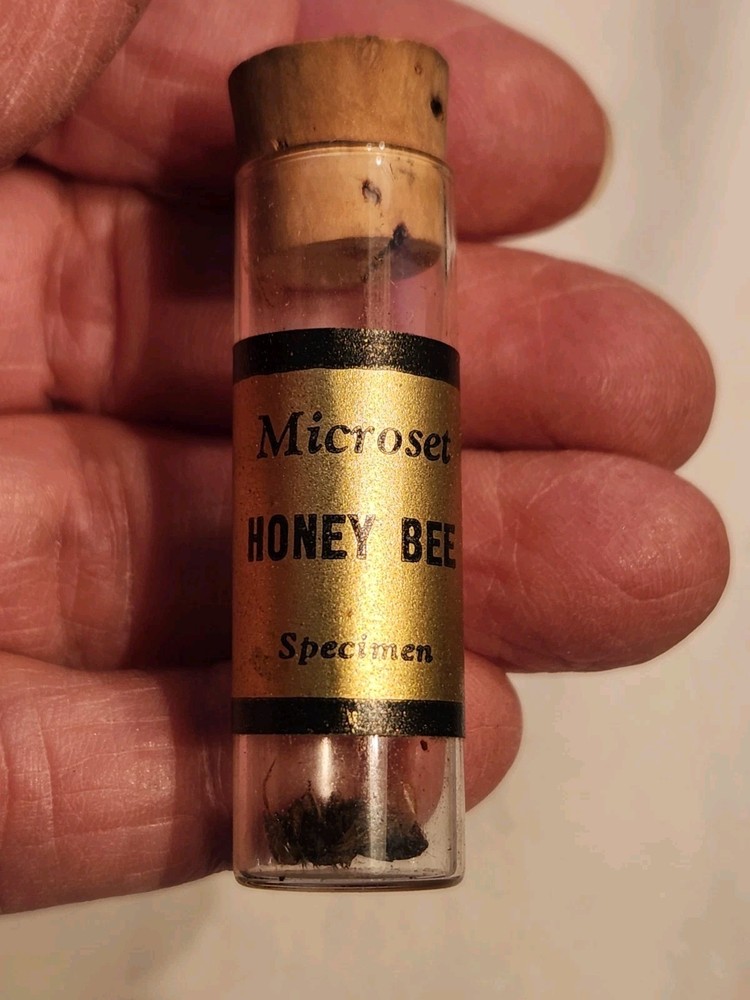 Old Microscope Set - Model 3x Microset Science Toy Distrib. Geo Borgfeldt