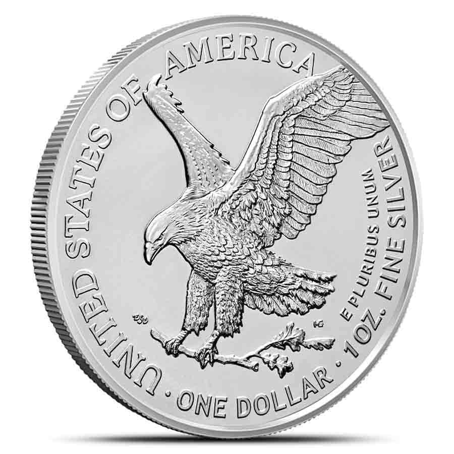 2026 American Eagle & It's a Girl Case #1
