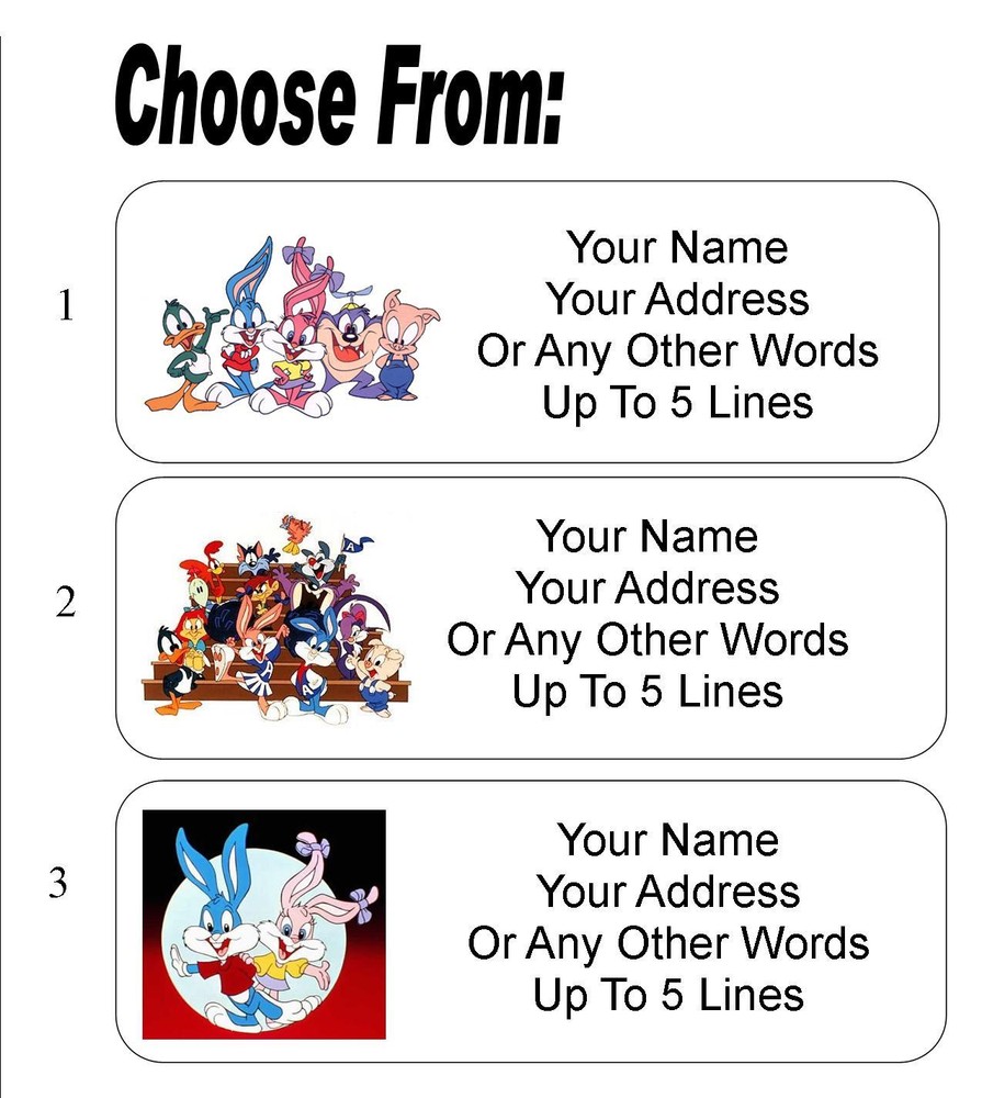 30 Tiny Toons Personalized Address Labels
