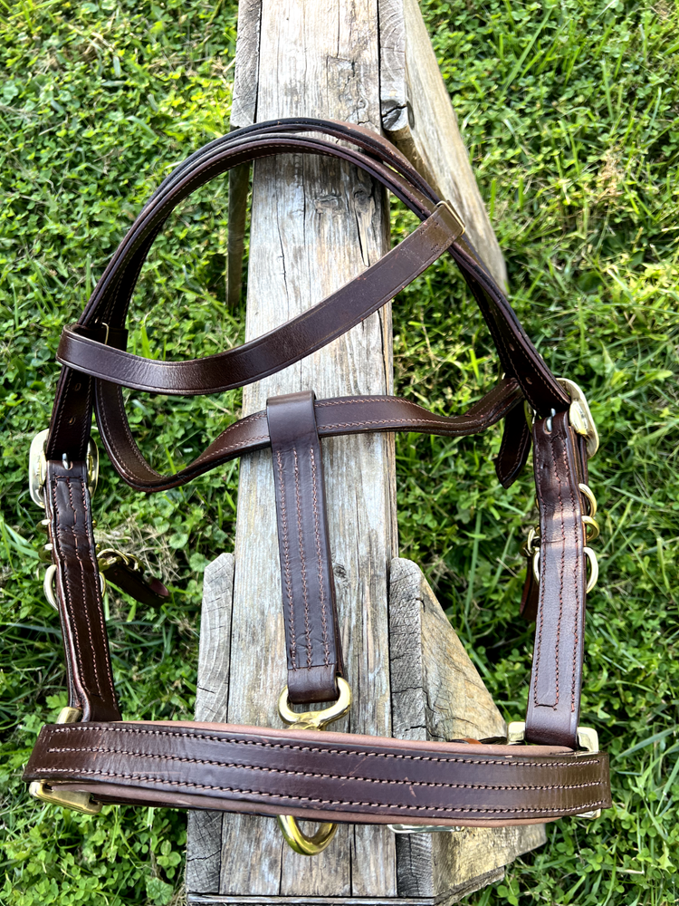 Leaders Heavy Duty True Draft Size Halter Bridle with Solid Brass Hardware