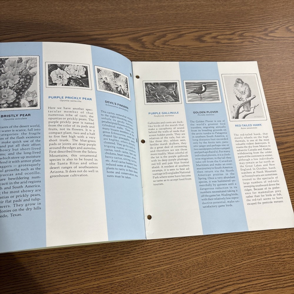 National Wildlife Federation Conservation Stamp Album 1974 Unused Full Stamps