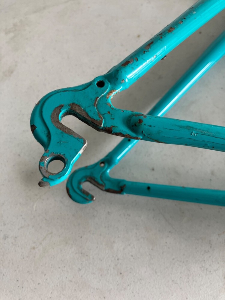 Raleigh Technium Bicycle Frameset With Rear Brake