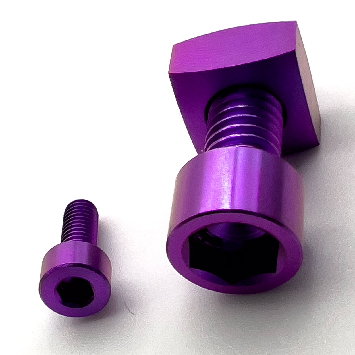 Titanium MTB Fork Bolts for Fox 36/38 Fork - Purple
