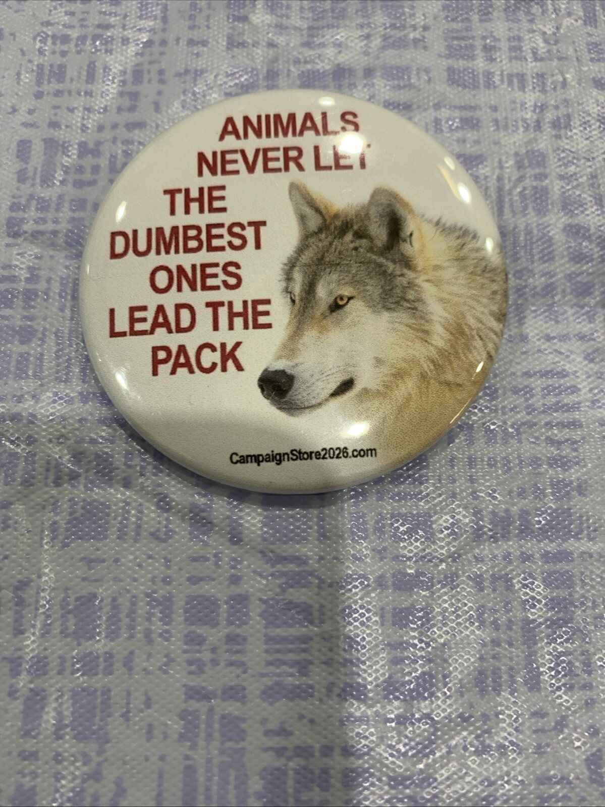 2025 Anti Donald Trump Political Pinback Button 2.25 Inch