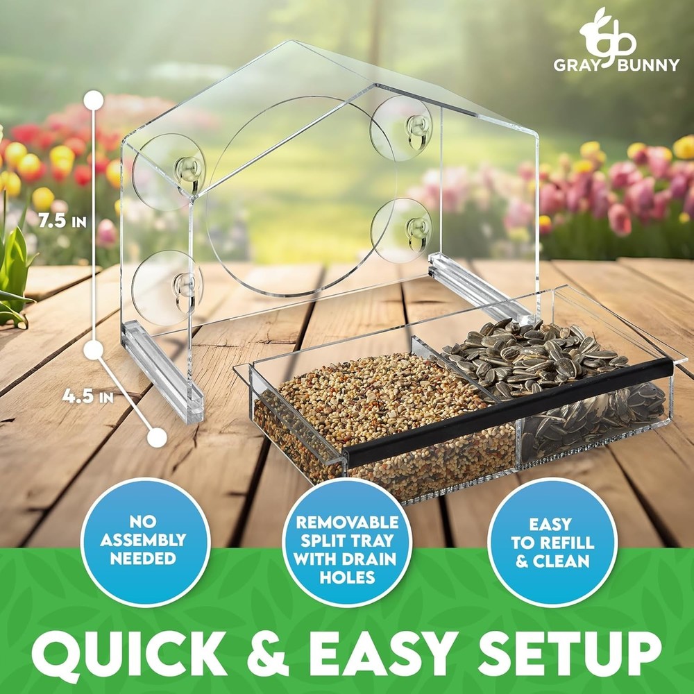 Window Bird Feeder with Strong Suction Cups
