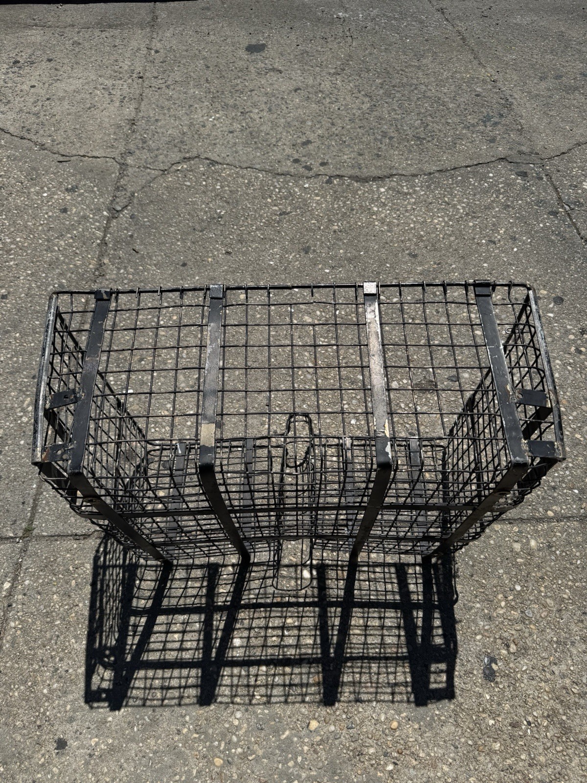 Wow Wow Complete Original Schwinn Cycle truck CT2 Large Basket