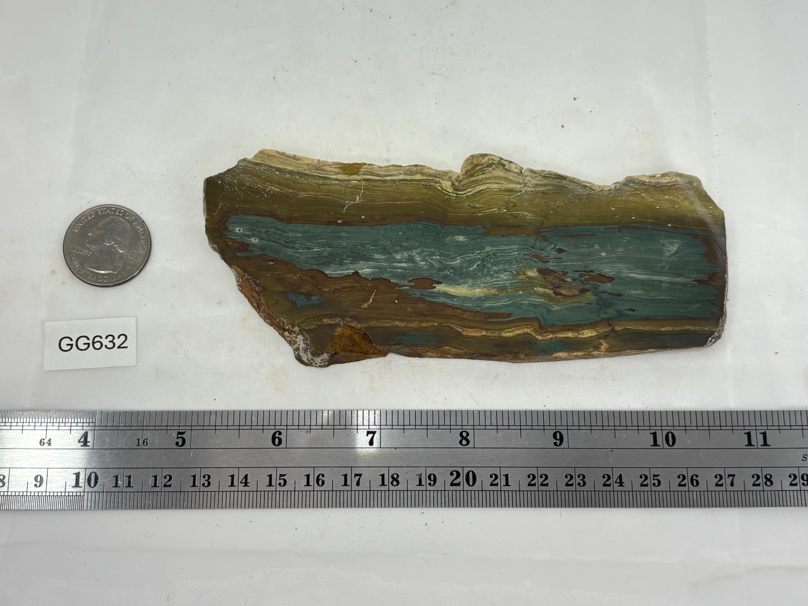 Gary Green Caldera Freedom Jasper Slab Cabbing Lapidary Combo Ship Avail