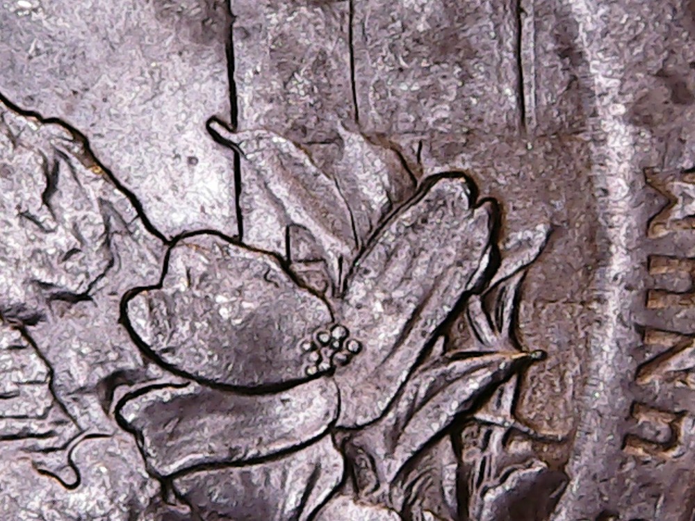 2015 P Blue Ridge Parkway ATB Quarter Die Chip Error.