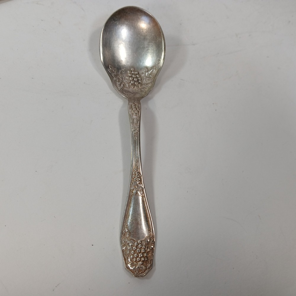 Isabella Grape 1913 R.C. Co. International Silverplate Sugar Spoon Vintage