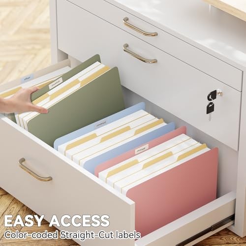 Plastic Expanding Accordion File Pockets,Extra 5.25" Letter Size