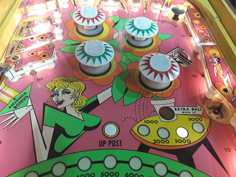 Zip-A-Doo Pinball Machine by Bally