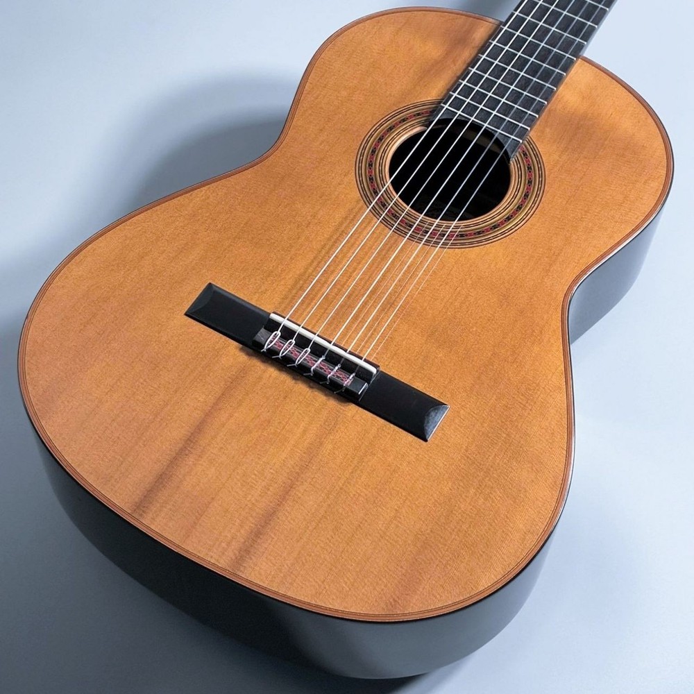 Giovanni Tacchi Friederich Homma