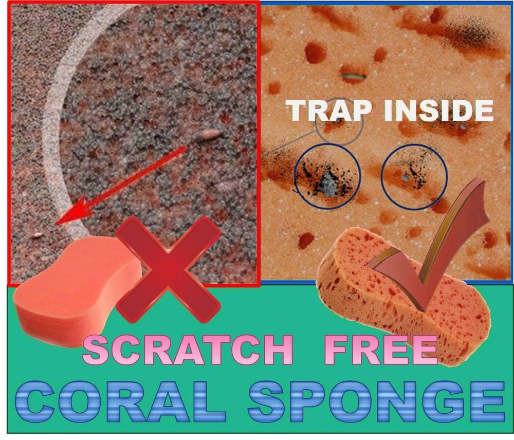 Ultimate Premium 5-Pack Coral Sponge Set - Extra Soft, Non-Scratch, Foaming &...
