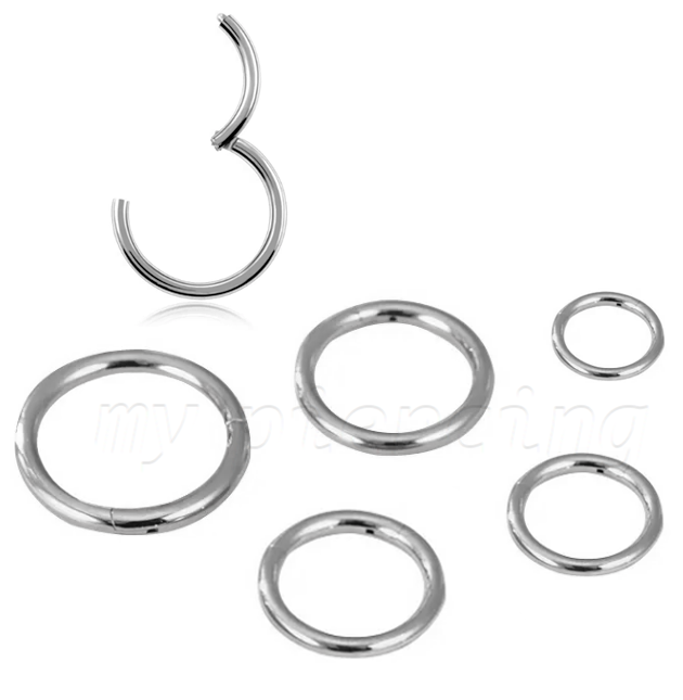 PAIR Hinged Seamless Segment Ring Nose Hoop Earring Labret Septum Ring