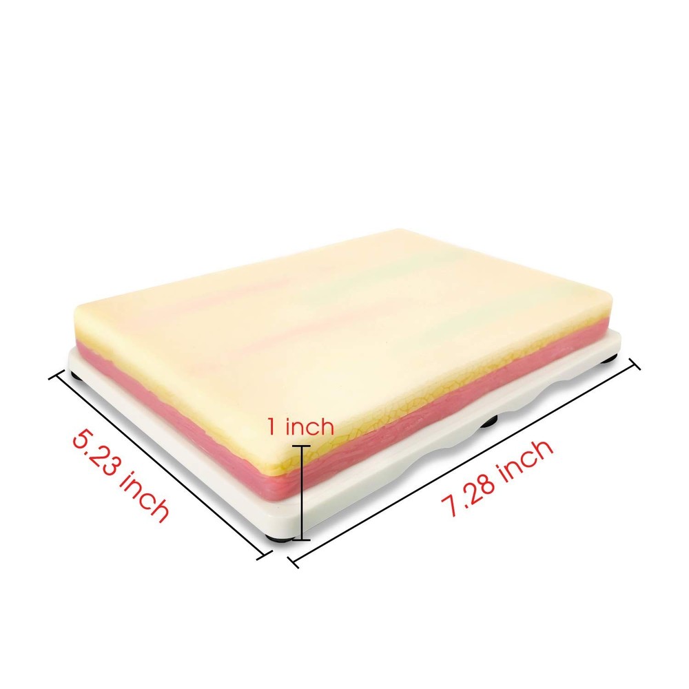 Realistic IV Injection Training Pad with 4 Embedded Veins & Blood Return Feature