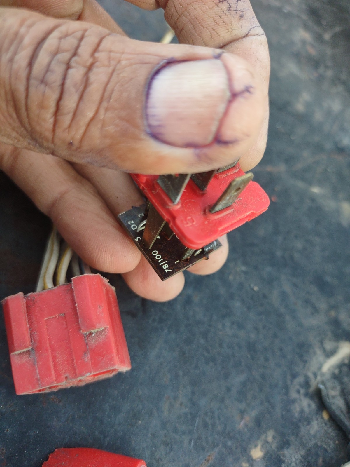 Jaguar Xjs XJ6 5 Pin Multipurpose Relay Lucas Red Relay 12v Pektron W/Pigtail