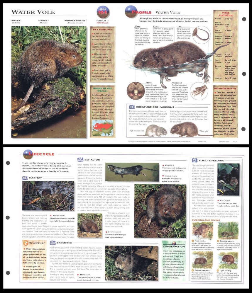 Fold-Out Sheet - Water Vole - 164