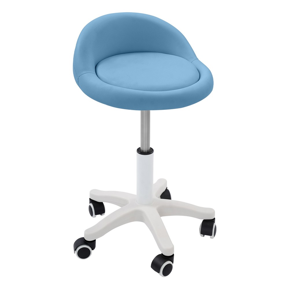 Adjustable Beauty Salon Chair, Rolling Stool, Rolling Stool with Low Backrest