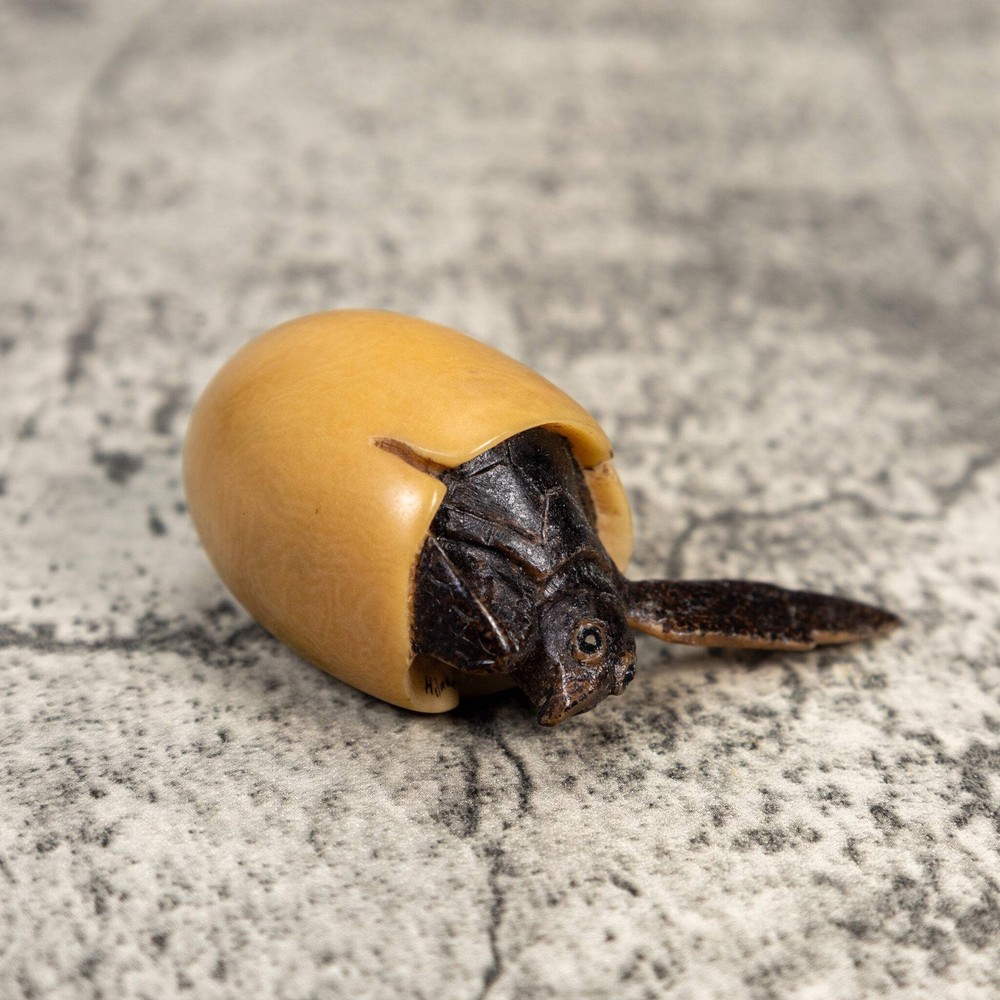 Sea Turtle Emerging From Egg Tagua Carving
