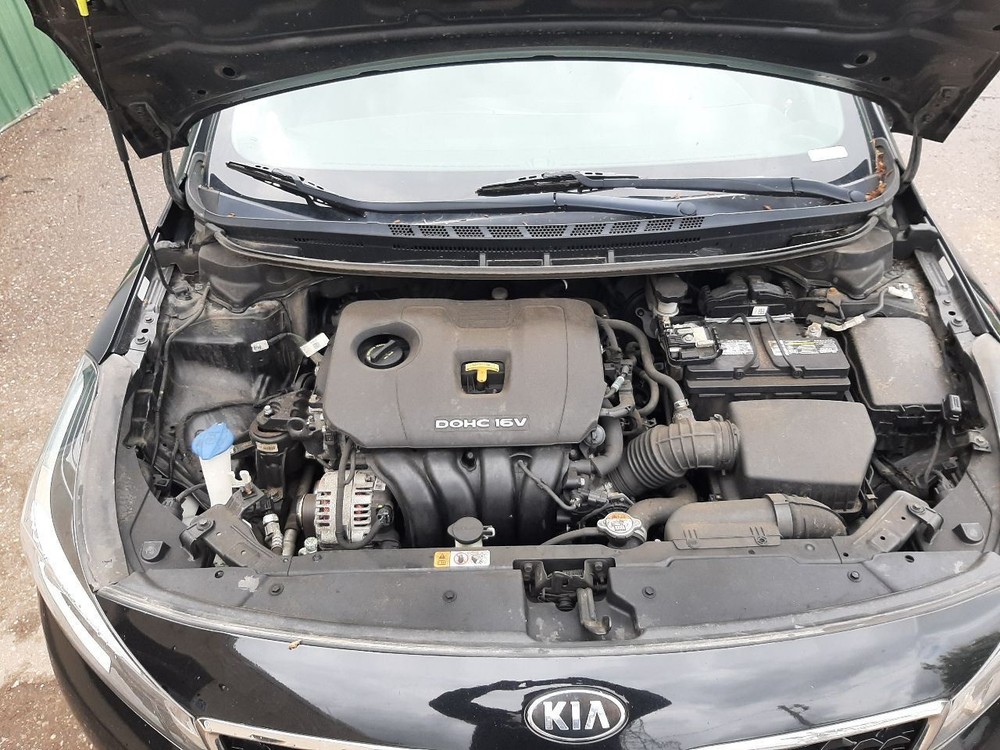 FORTE 2017 High Mounted Stop Light 1001617