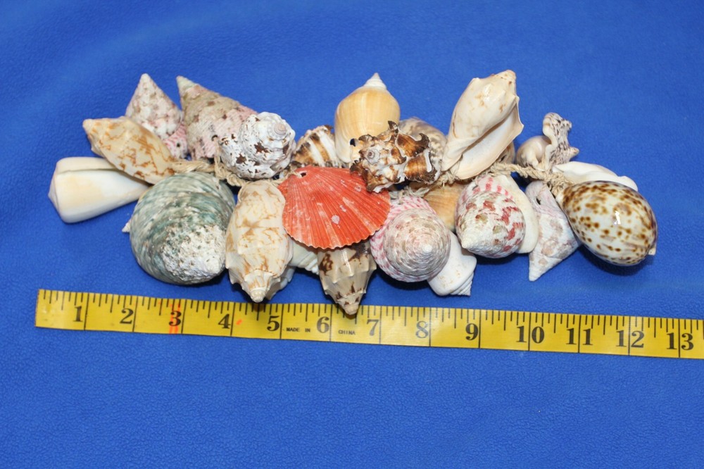 SHELL MOBILE, Beach Home Deck Decor, Hanging Shell Decor, Bath Decor, G-04