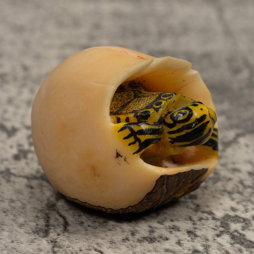 Tortise And Egg Tagua Carving