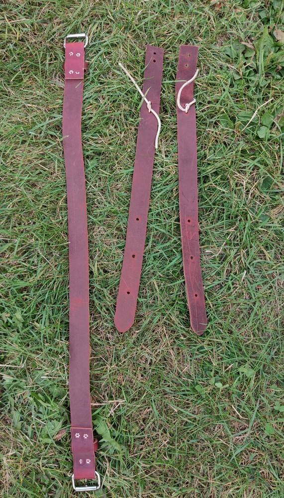 Back Cinch Leather Smith's Tack Shack