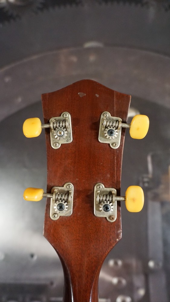 Pirles 5-String Closed Back Banjo w/ Hard Case