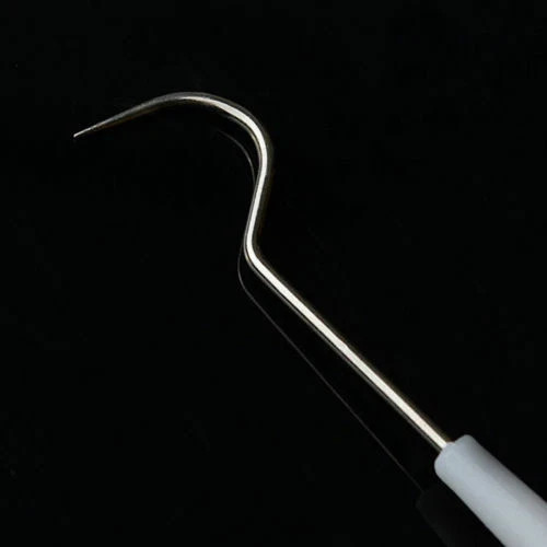 10 Pcs Dental Teeth Explorer Double End Instrument Probe Hook Basic Instruments