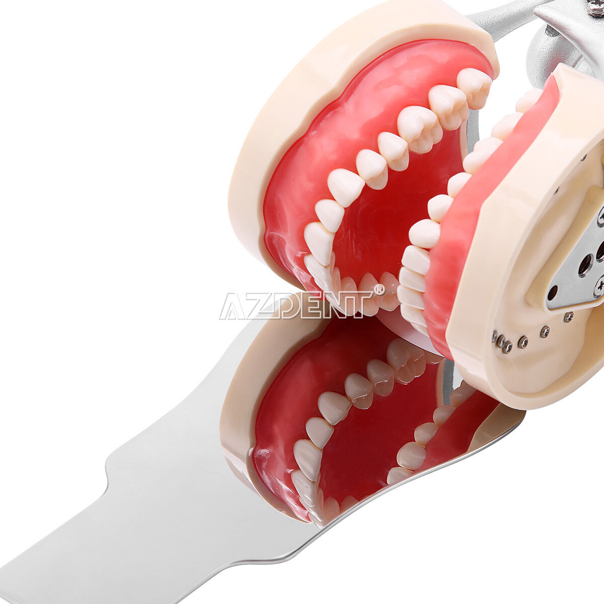 Dental Occlusal Mirror Fog Free LED Intra Oral Photo System 4 Mirrors Anti-Fog