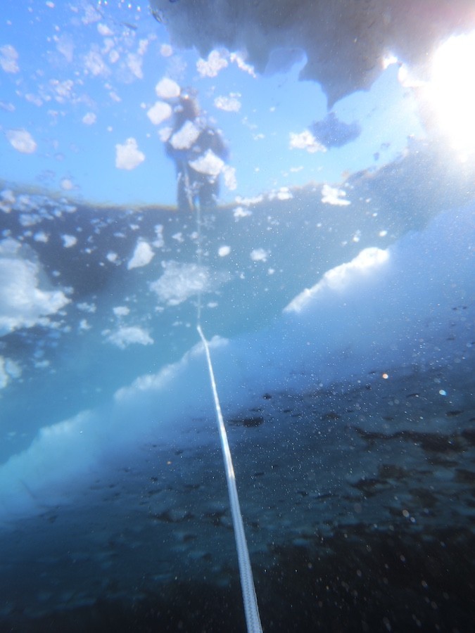 Mares GENIUS Color tech dive computer (black) with TWO Mares Transmitters!