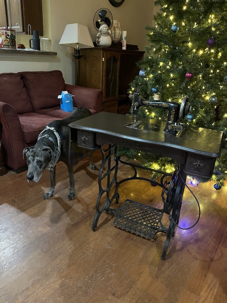 Lowest #3 Sewing Machine