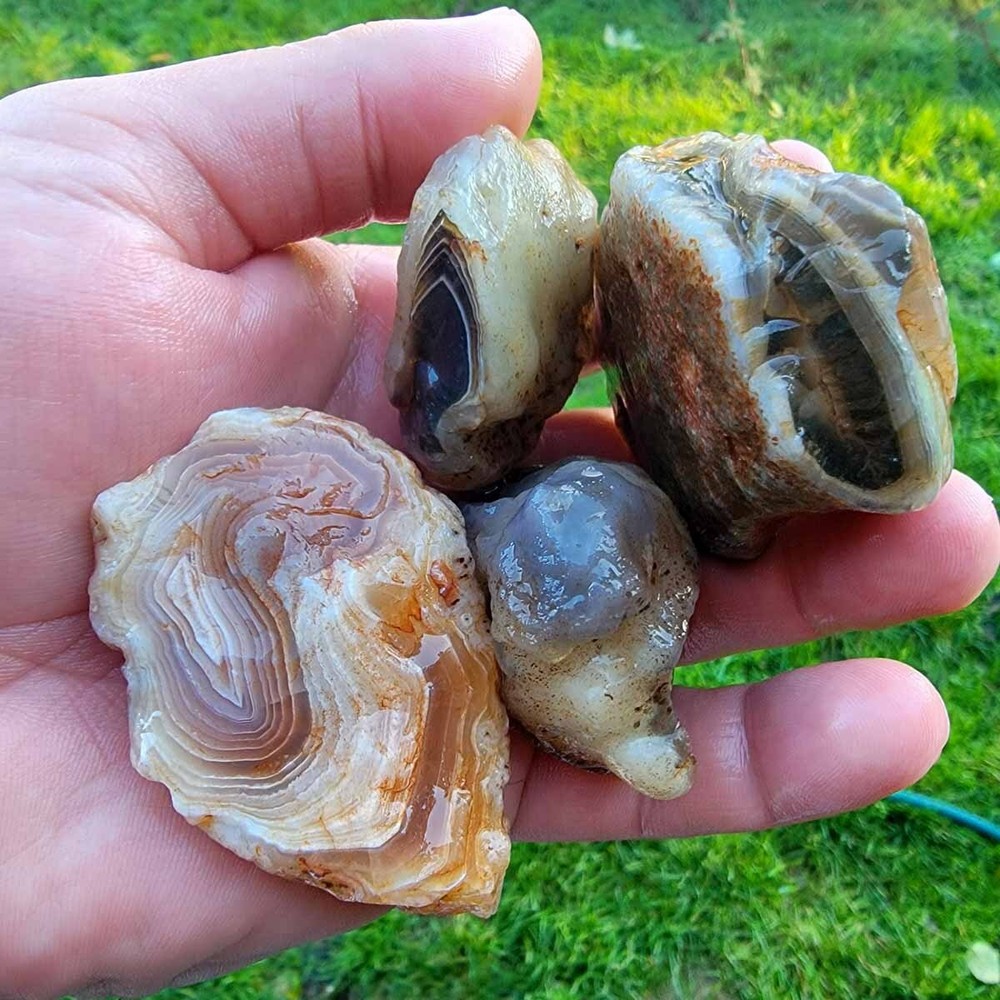 Random Pull RARE Botswana Agate Rough! Old Stock Lapidary Stone Materials!