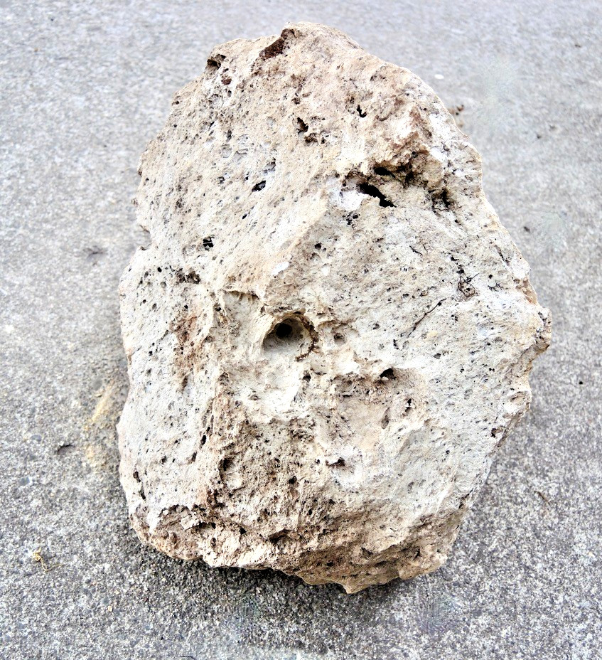 XXL Pumice Stone Volcanic Rock