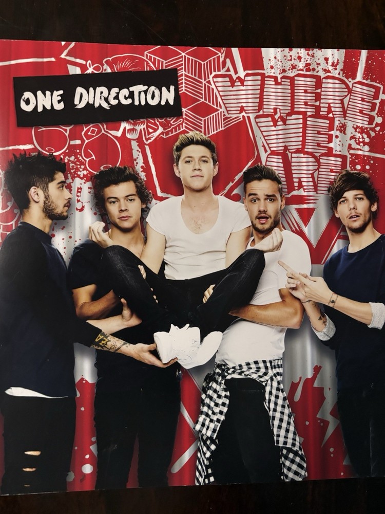 One Direction Where We Are Tour 12" X 12" Large Program 2014
