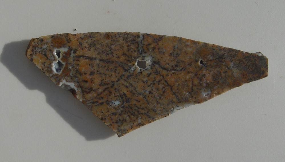 Cheetah Agate Lapidary Slab T988