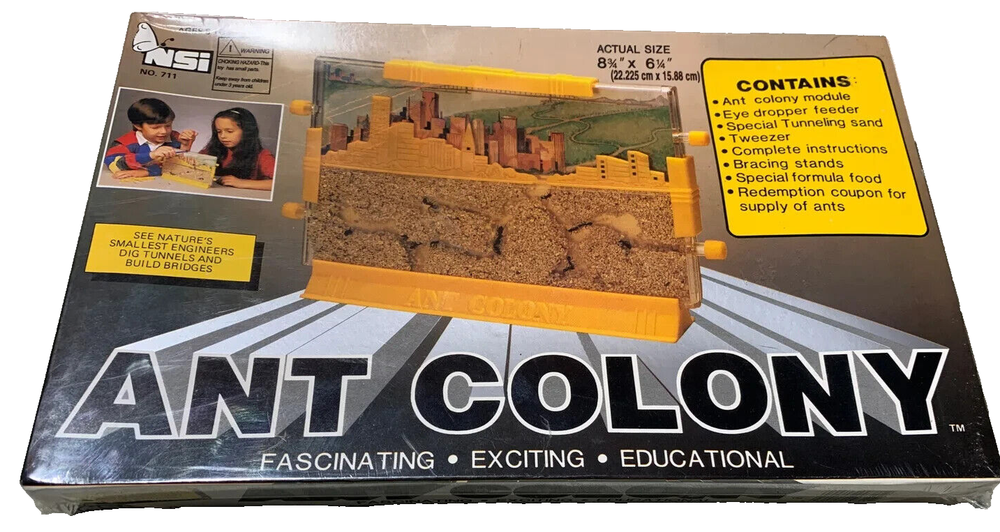 Ant Colony NSI #711