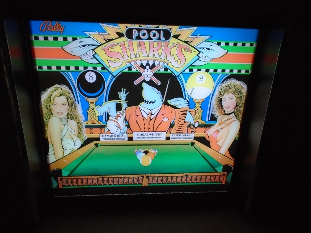 Bally Pool Sharks Pinball Head LED Display light box