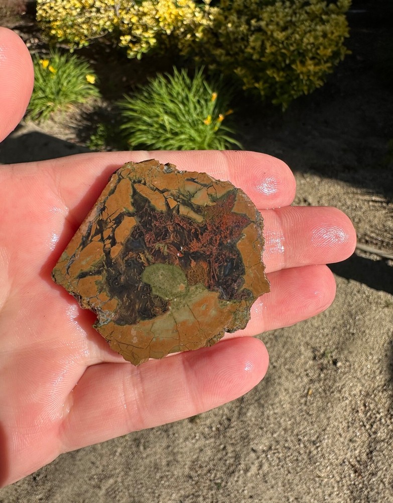 Priday Plume Agate Slice, 25 grams, Thunder-egg, Cabbing/Lapidary