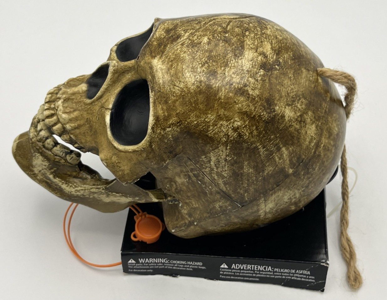 Skull Talking Mechanical Tested Works