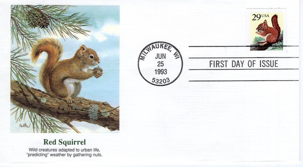 RED SQUIRREL  - 1993 - FW1382