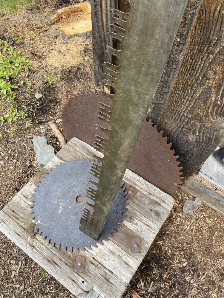 Clean 2 Man 64”Perforated Lance Tooth Crosscut Saw Logging Tool